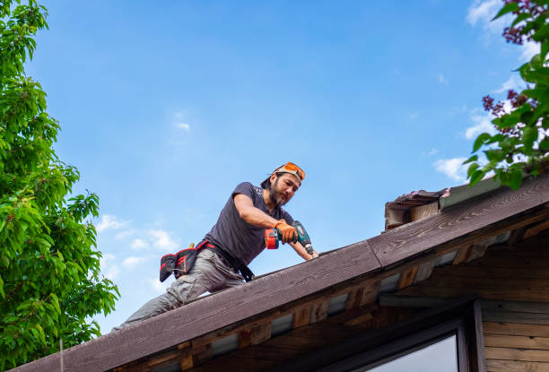 Steel Roofing in Allison, IA